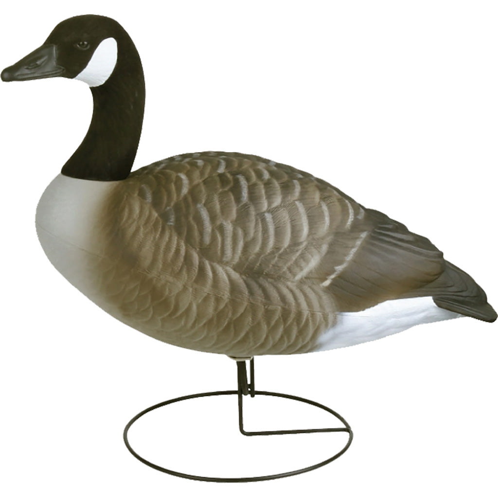 Flambeau Field Pack Canada Goose Decoy 6 pk.
