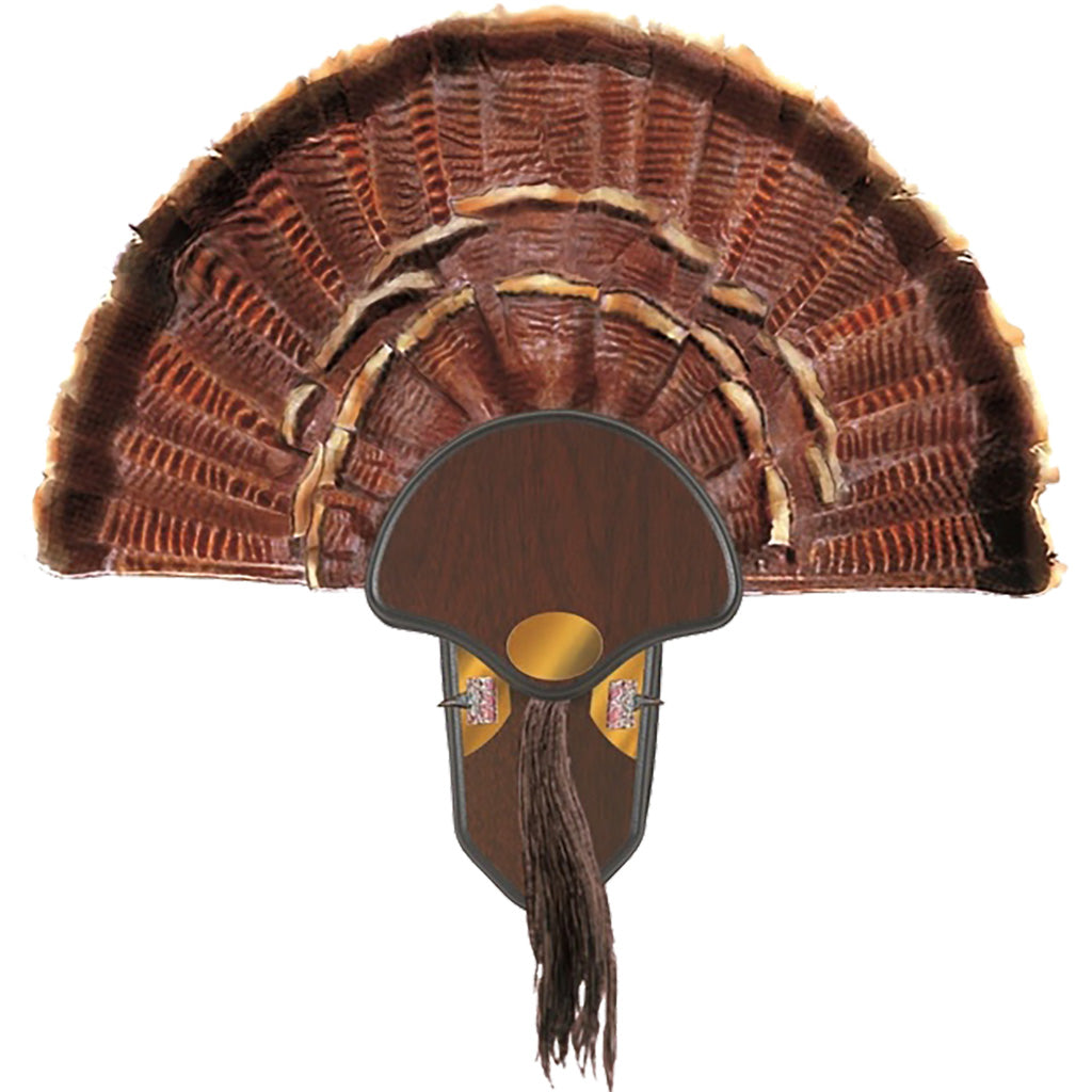 Allen Turkey Tail Mounting Kit - Perfect for Displaying Your Trophy