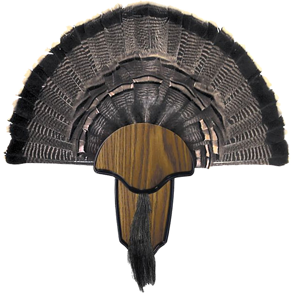 Hunters Specialties Turkey Mount Kit Tail &amp; Beard
