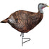 Primos Photoform Turkey Decoy Leading Hen - Lightweight and Portable
