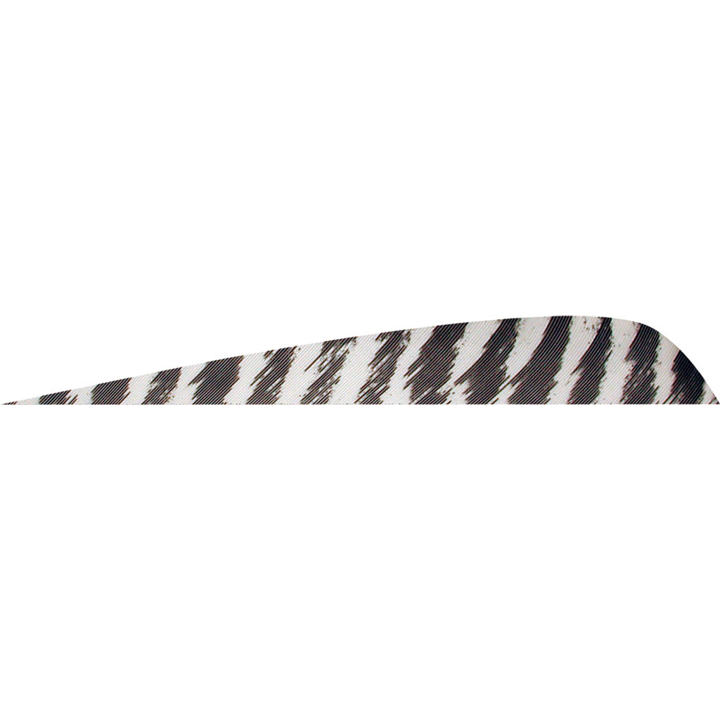 Gateway Parabolic Feathers Barred White 4 in. LW - 50 Pack