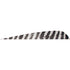Gateway Parabolic Feathers Barred White 4 in. LW - 50 Pack