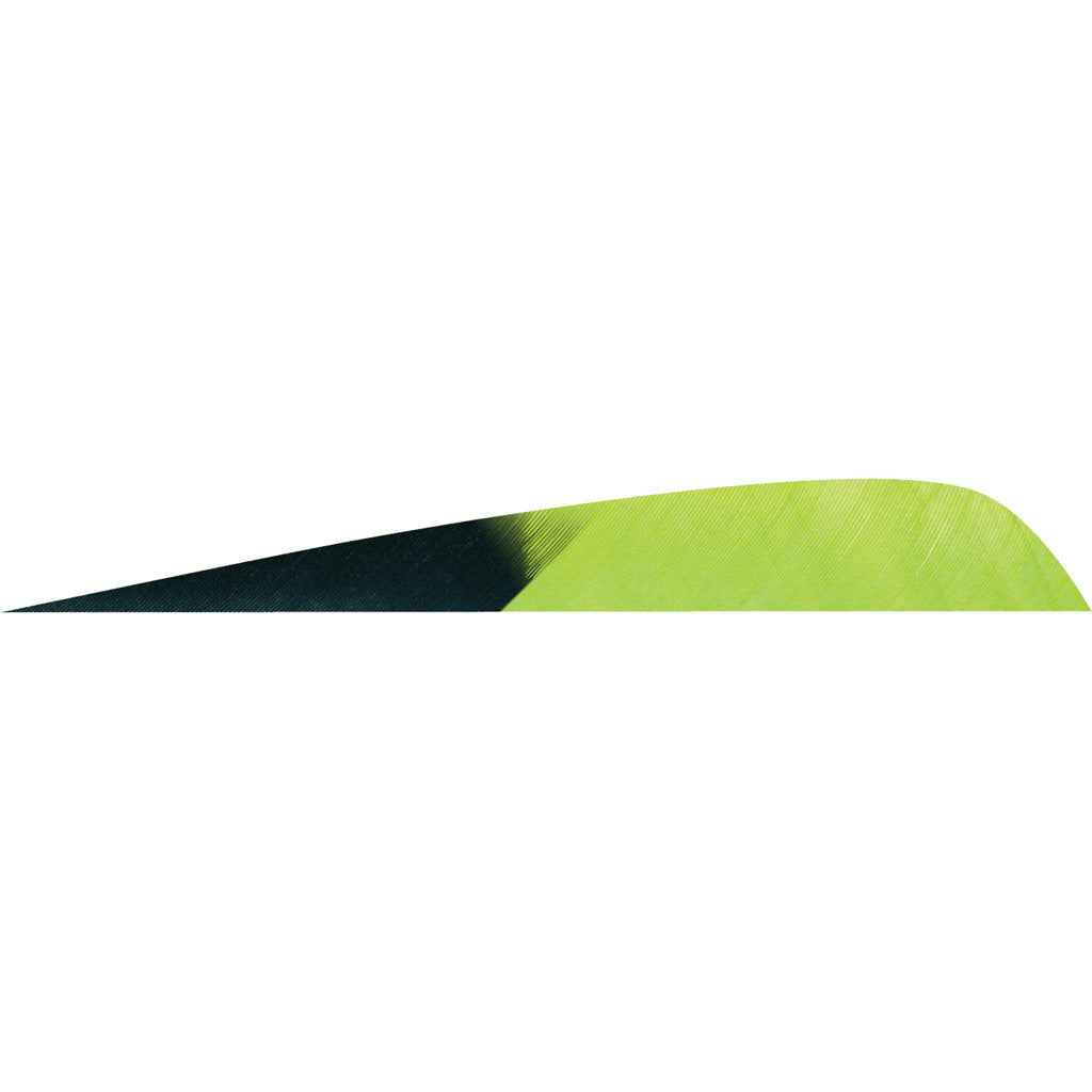 Gateway Parabolic Feathers Kuro Charteuse 4 in. LW - 50 Pack