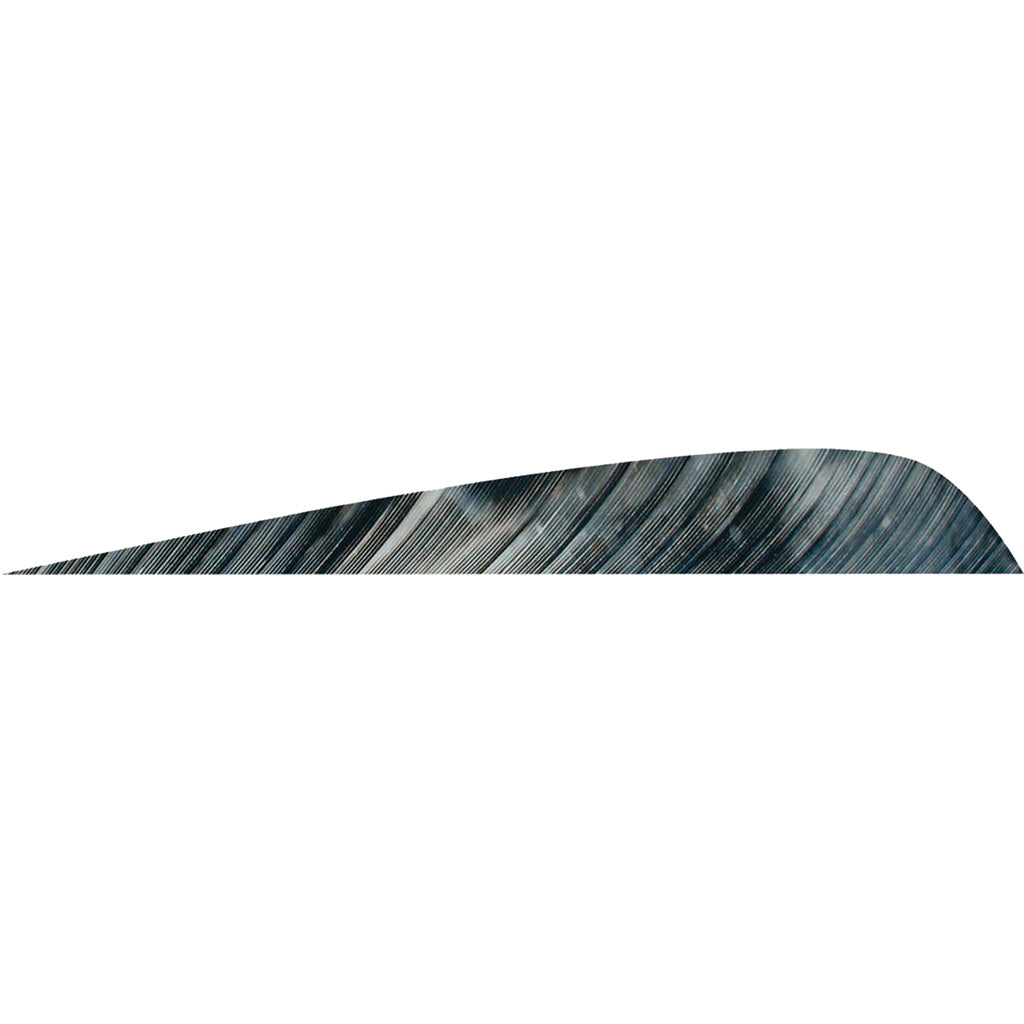 Gateway Parabolic Feathers Tre Bark 4 in. LW - 50 Pack