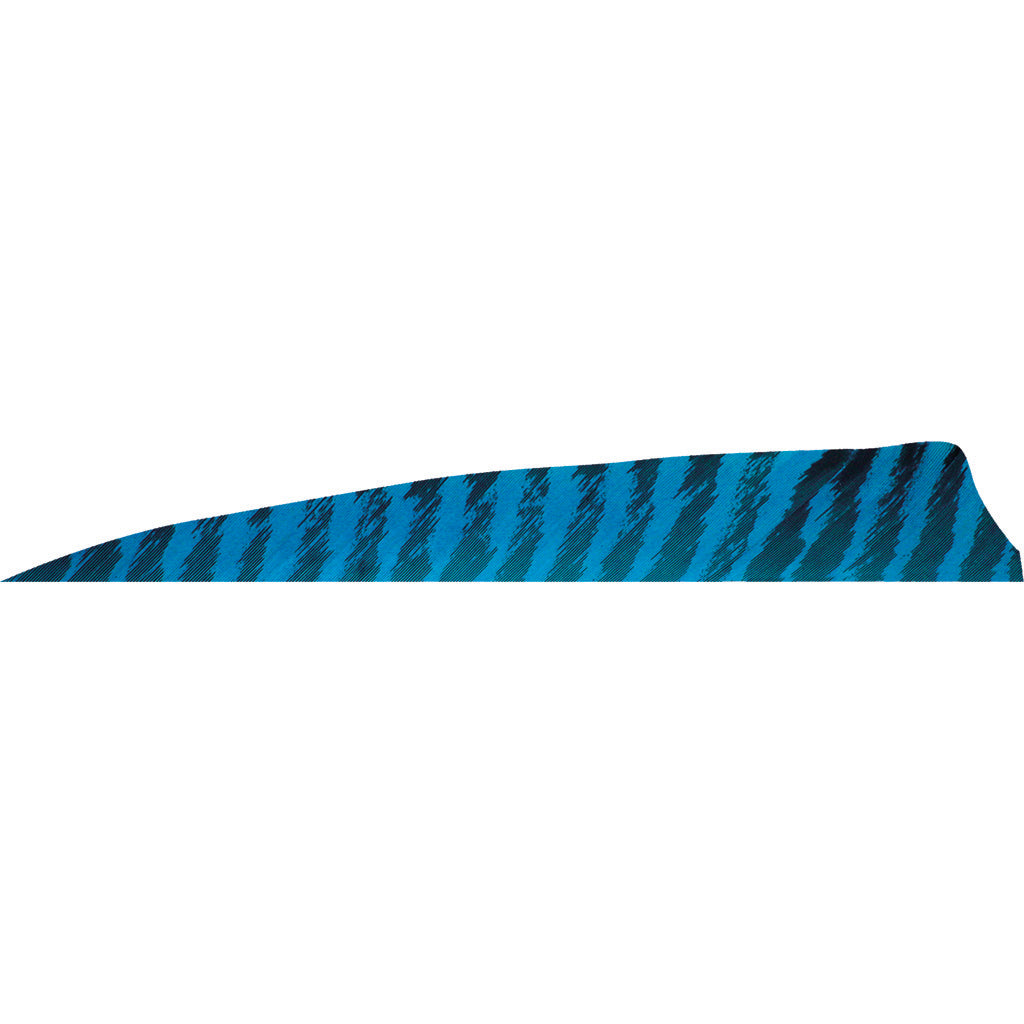 Gateway Shield Cut Feathers Barred Blue 4 in. LW - 50 Pack