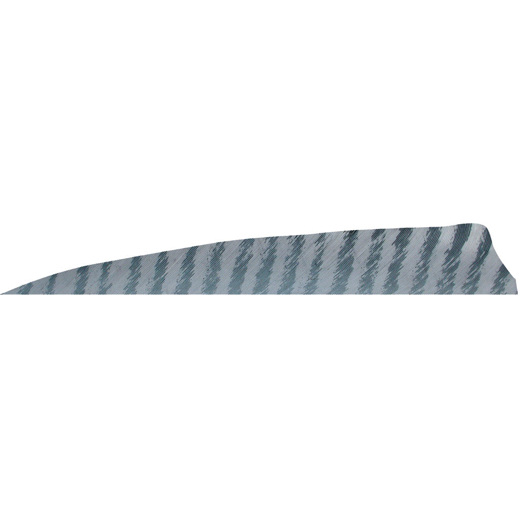 Gateway Shield Cut Feathers Barred Grey 4 in. LW 50 Pack