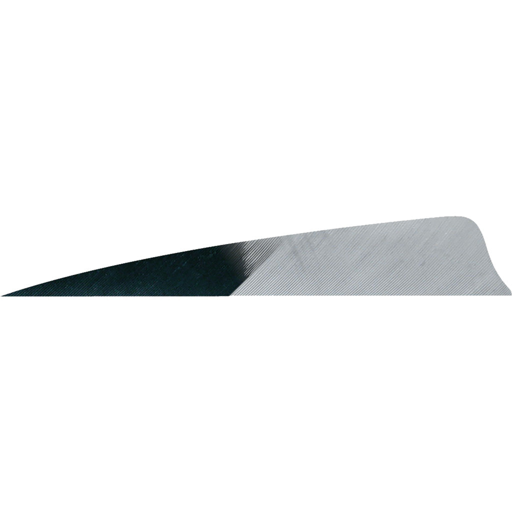 Gateway Shield Cut Feathers Kuro Grey 4 in. LW - 50 Pack