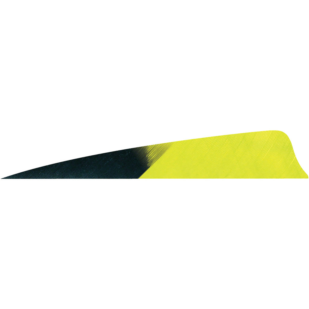 Gateway Shield Cut Feathers Kuro Lemon Lime 4 in. LW - 50 Pack