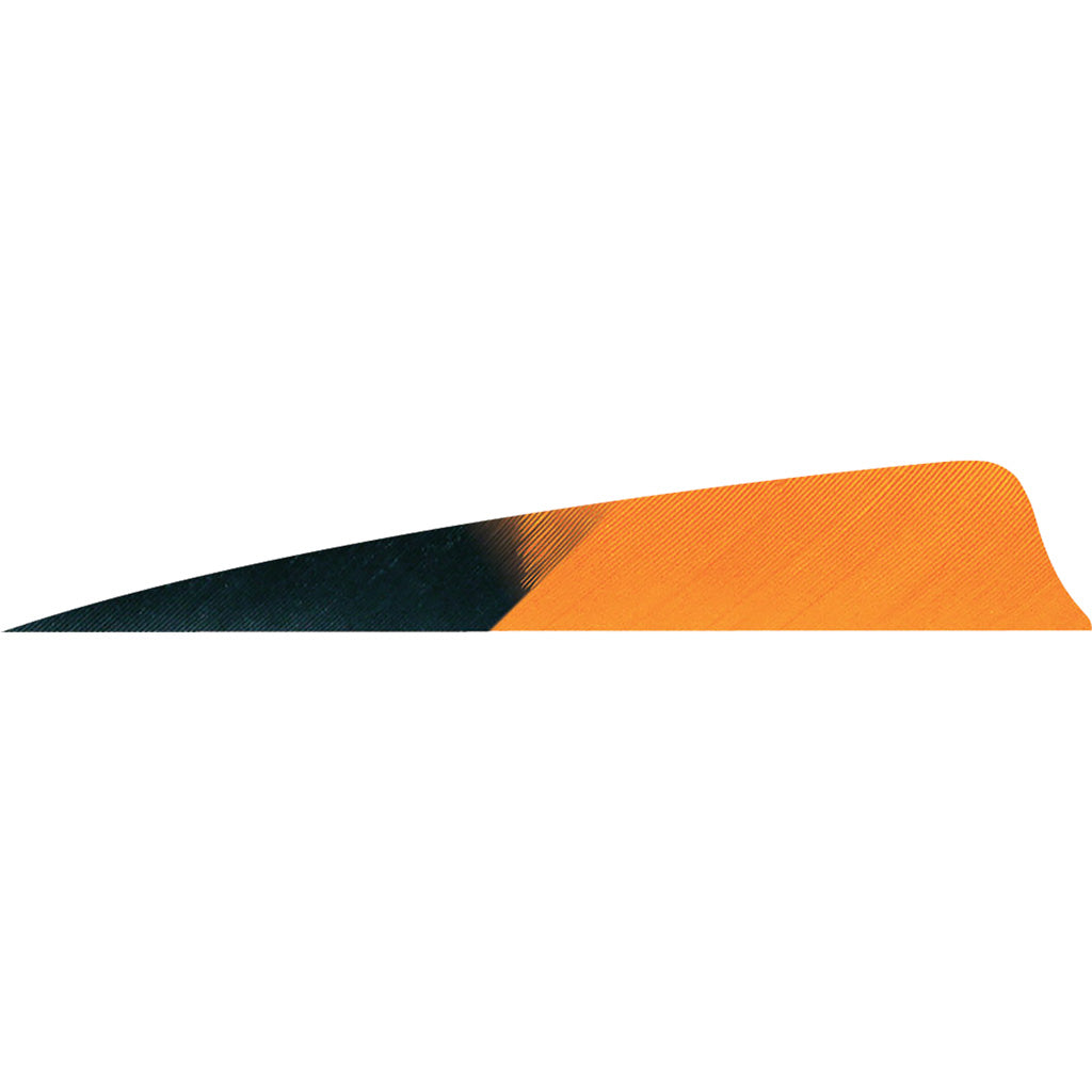 Gateway Shield Cut Feathers Kuro Orange 4 in. LW 50 Pack