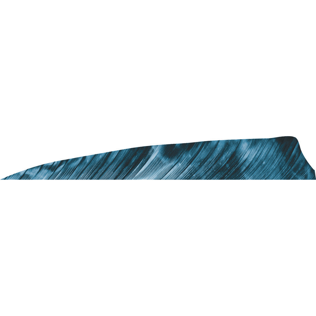 Gateway Shield Cut Feathers Tre Blue 4 in. LW 50 pk.