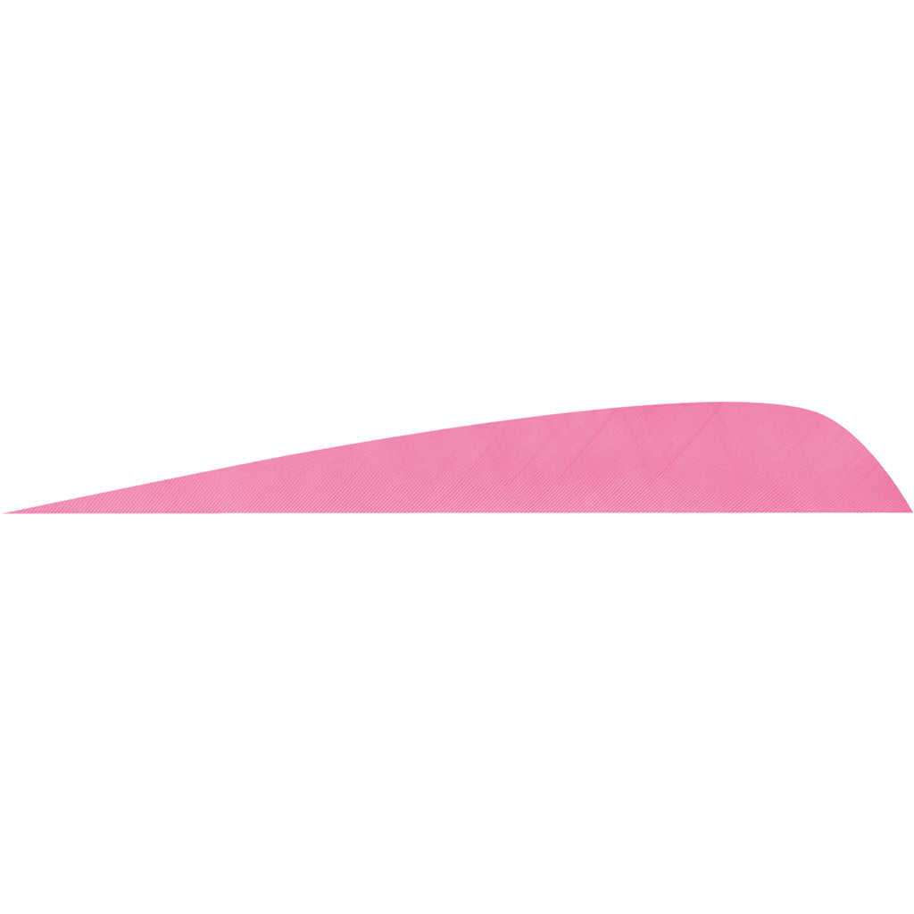 Gateway Parabolic Feathers Flo Pink 4 in. RW - 50 Pack