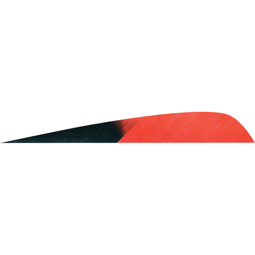 Gateway Parabolic Feathers Kuru Red 4 in. RW - 50 Pack