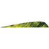 Gateway Parabolic Feathers Tre Yellow 4 in. RW 50 Pack