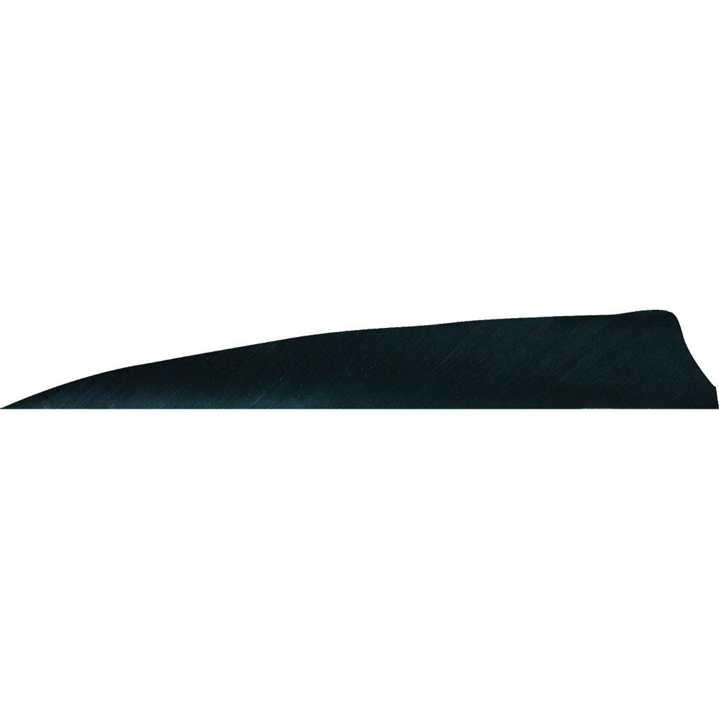 Gateway Shield Cut Feathers Black 4 in. RW - 50 Pack