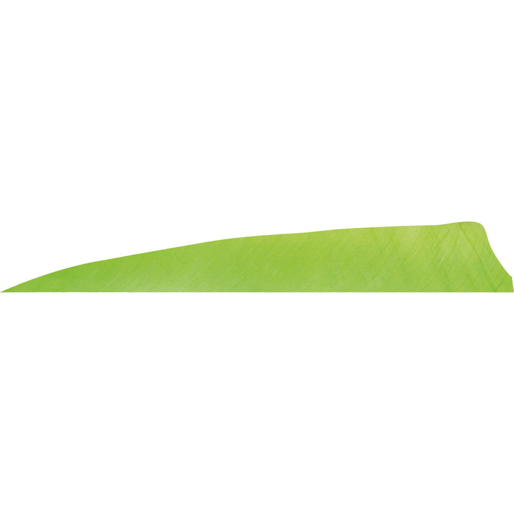 Gateway Shield Cut Feathers Chartreuse 4 in. RW 50 pk.