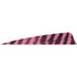 Gateway Shield Cut Feathers Barred Flo Pink 4 in. RW - 50 Pack