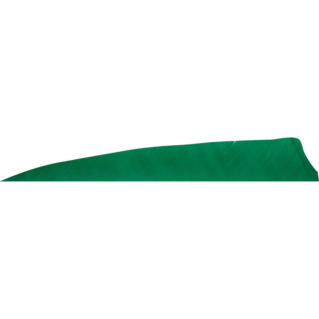 Gateway Shield Cut Feathers Green 4 in. RW 50 Pack
