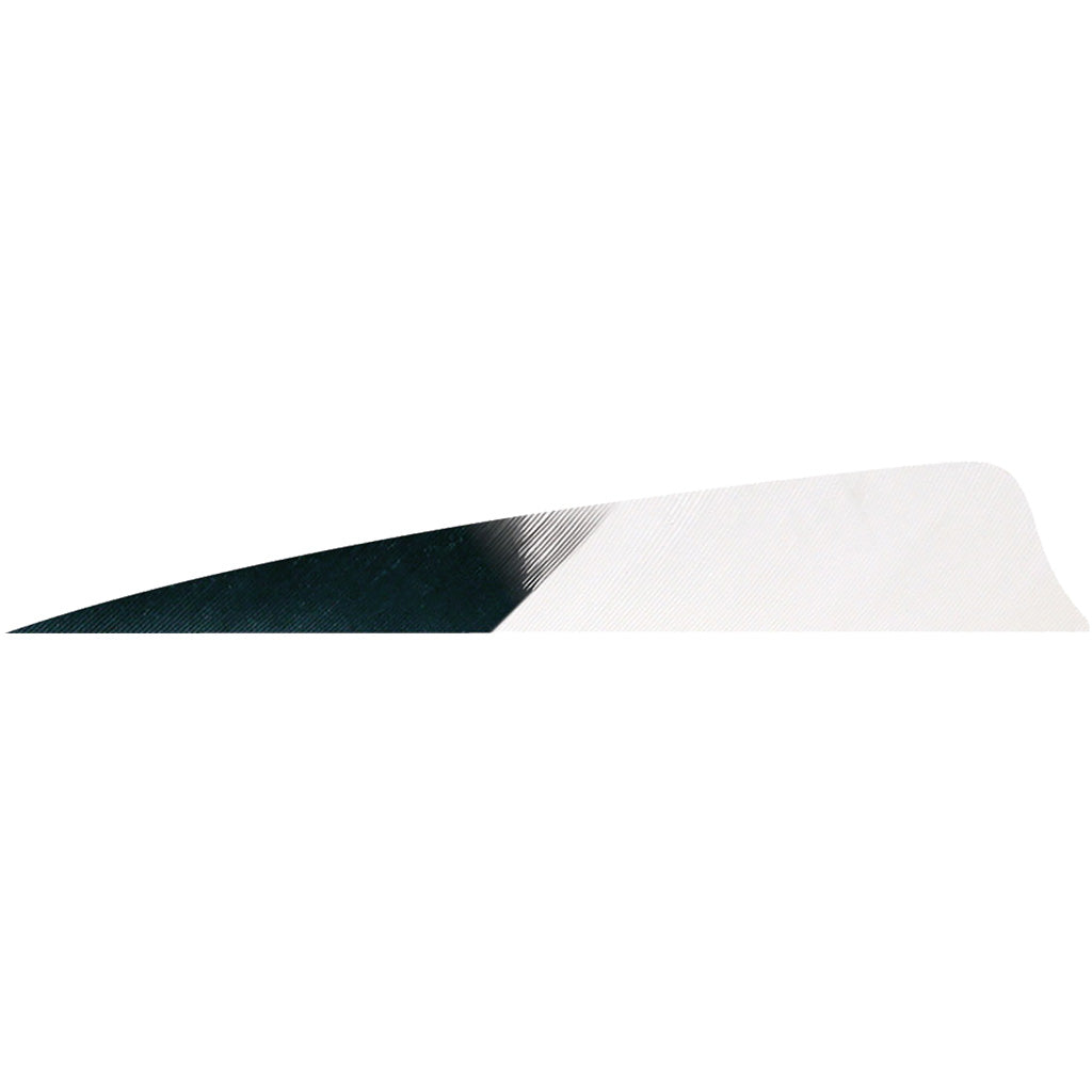 Gateway Shield Cut Feathers Kuru White 4 in. RW - 50 Pack