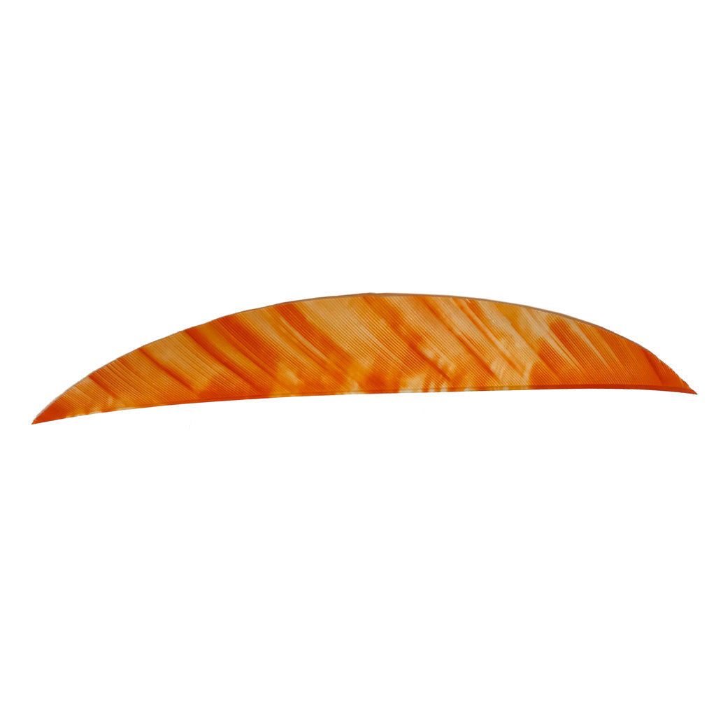 Gateway Magnum Feathers Tre White/Orange 5.5" RW 50 Pack