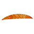 Gateway Magnum Feathers Tre White/Orange 5.5" RW 50 Pack