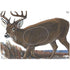Maple Leaf NFAA Animal Faces Group 1 Deer