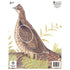 Maple Leaf NFAA Animal Faces Group 4 Grouse
