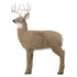 GlenDel Full-Rut Buck Target - Premium Archery Target for Realistic Practice