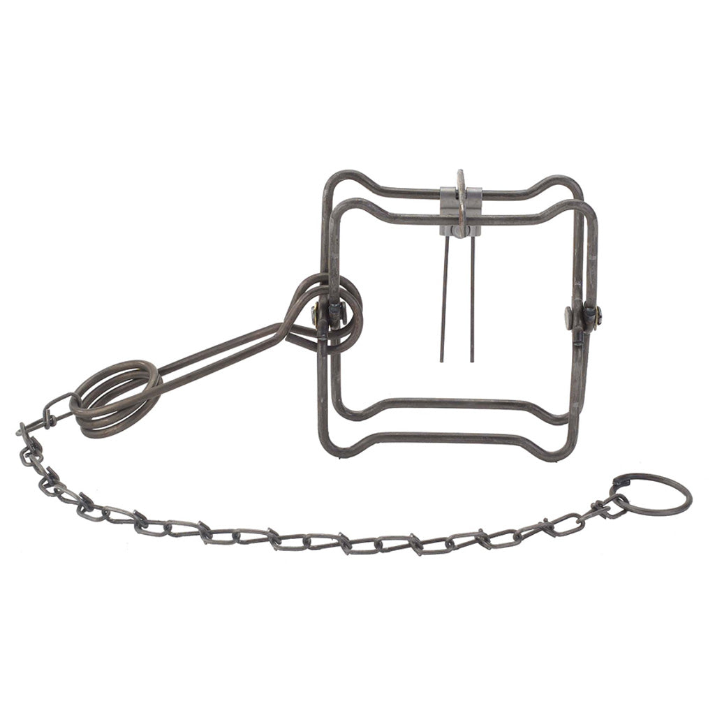 Duke Body Grip Trap No. 110 - Ideal for Muskrat, Mink, and Weasel