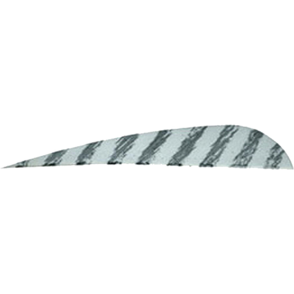 Gateway Barred Feathers White 4 in. RW 50 pk.