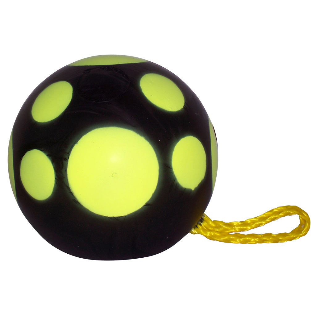 Rinehart Field Target - Travel Target with Extreme Portability and Signature Foam