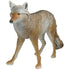 Flambeau Master Series Lone Howler Coyote Decoy - Realistic Hunting Companion