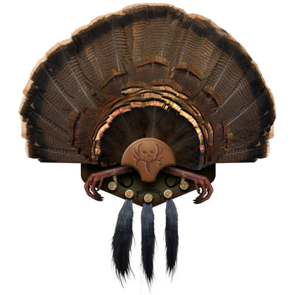 Mountain Mikes Beard Collector Display - Holds 5 Beards