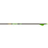Gold Tip Hunter XT Arrows 300 with Raptor Vanes - 6 Pack
