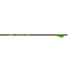 Gold Tip Velocity XT Arrows 300 with Raptor Vanes - 6 Pack