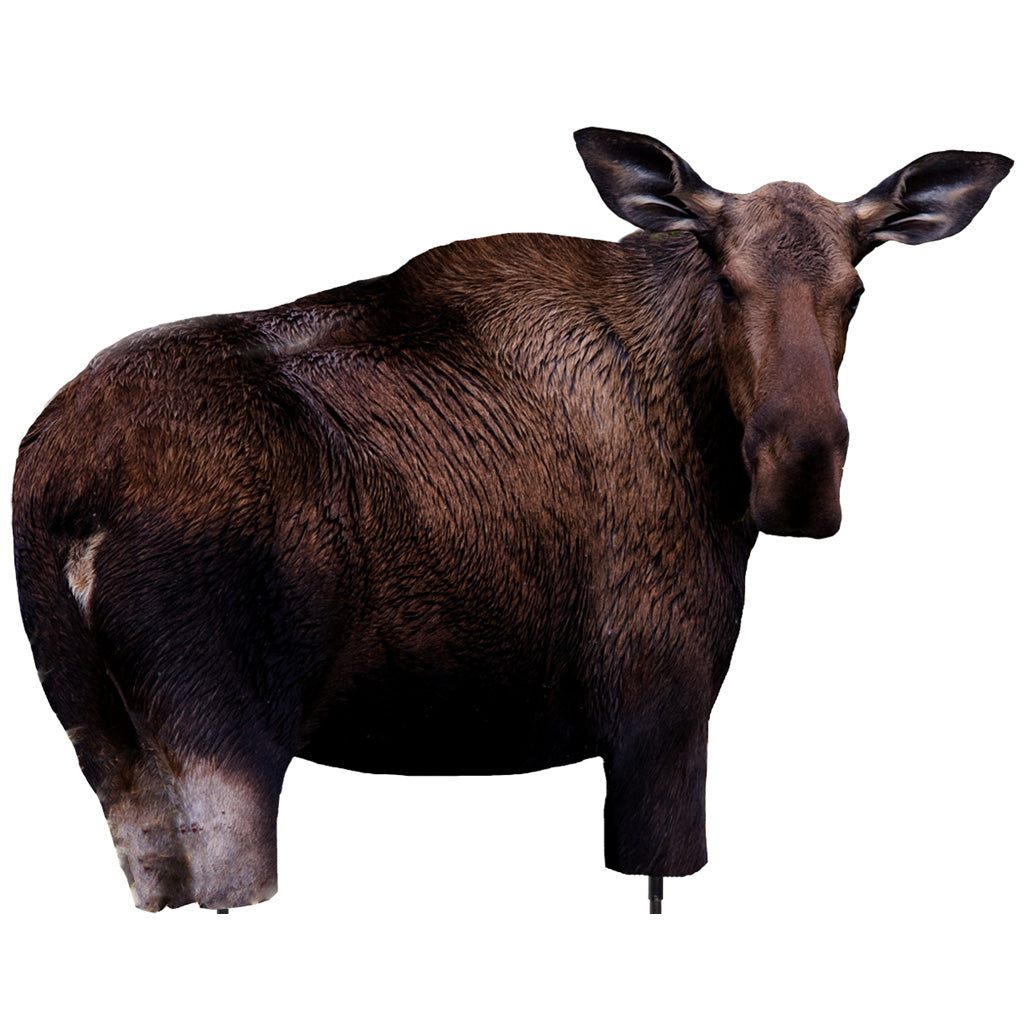 Montana Decoy Moose II Decoy - Realistic Pop-Up Hunting Decoy