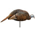 Montana Decoy Dinner Belle Hen Decoy