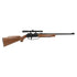 Daisy Model 880 Powerline w/ Scope
