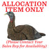 Avian-X Lay Down Hen Turkey Decoy - Realistic Hunting Companion