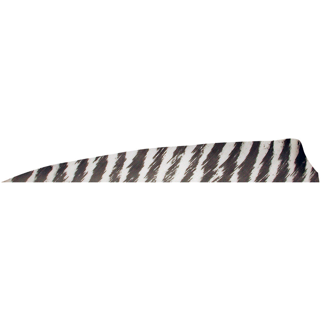 Gateway Shield Cut Feathers Barred White 4 in. RW - 100 Pack