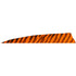 Gateway Shield Cut Feathers Barred Orange 4 in. RW 100 Pk.