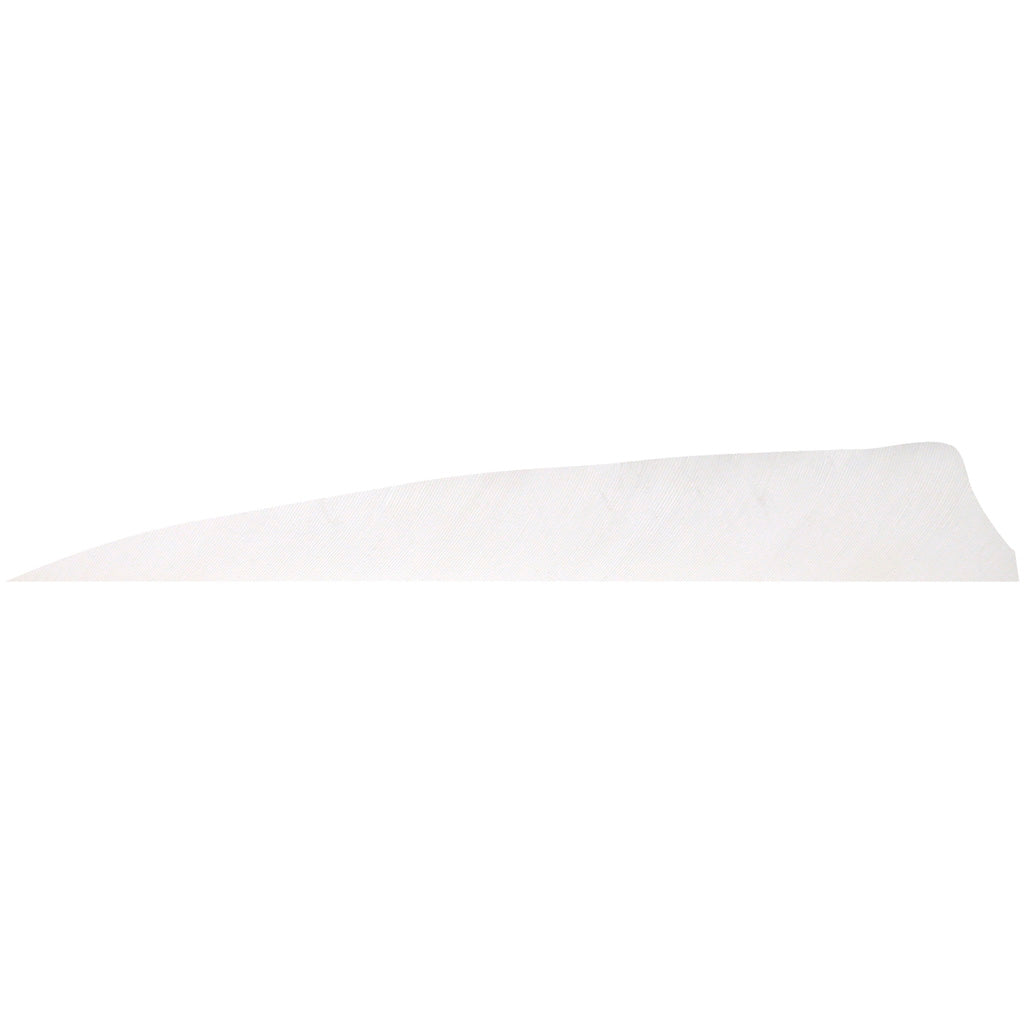 Gateway Shield Cut Feathers White 5 in. RW 100 Pack