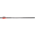 243949250.webp