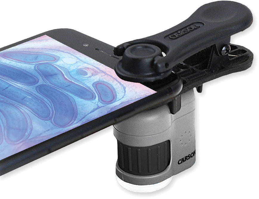 Micromini 20 X Pkt Microscope