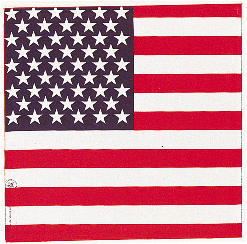CAROLINA MANUF American Flag - Premium Quality Outdoor Flag