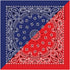 Carolina Manuf Split Paisley Navy/Red Fabric