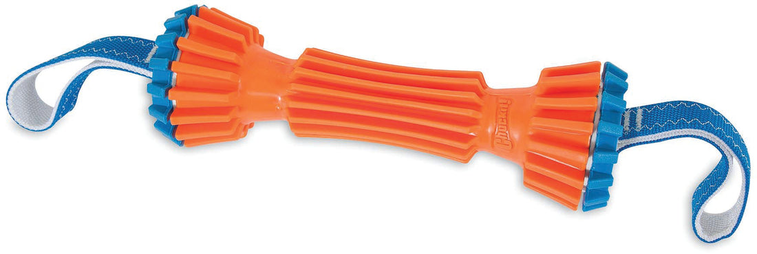 CHUCKIT! Rugged Bumper Large - Durable Dog Toy for Active Play