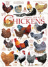 Chicken Quotes Puzzle