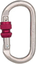 CYPHER Classic Steel Oval Sg - Durable and Reliable Security Lock
