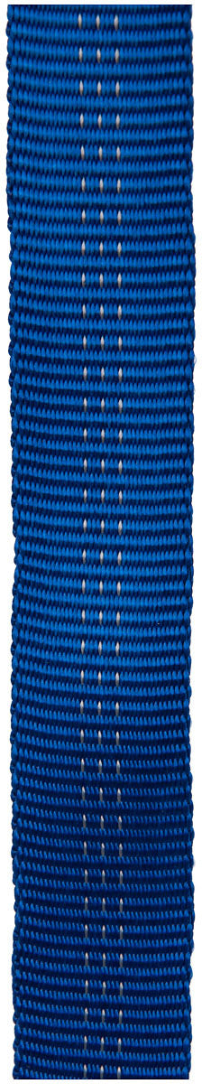 30 Ft 1" Webbing   Blue