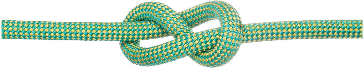 EDELWEISS Performance 9.2 X70 Green Uc Se Climbing Rope